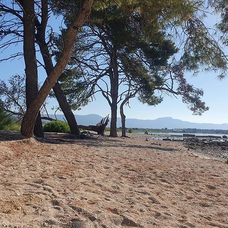 Penthouse Apartman Marcelina In Trogir Dış mekan fotoğraf